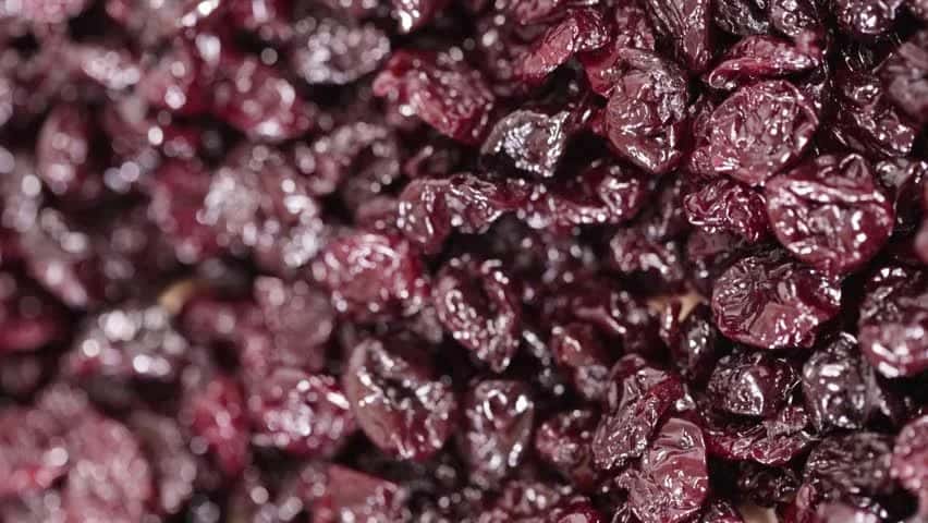 فروش آلبالو خشک