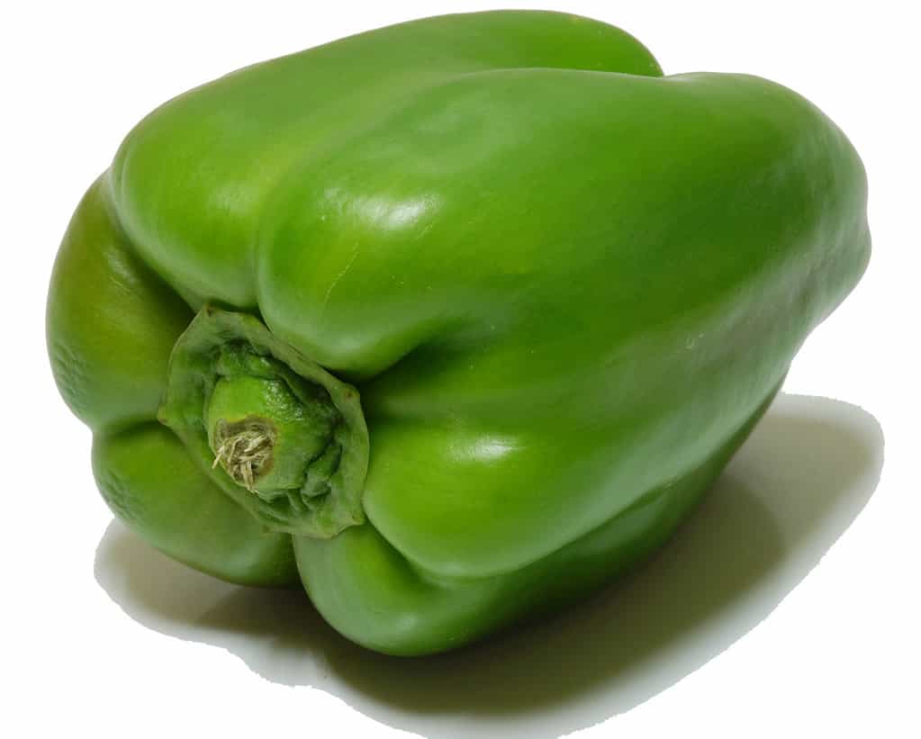 تصویر 1 از فلفل دلمه ای سبز تازه برداشت روز با قیمت مناسب