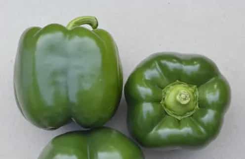 تصویر 2 از فلفل دلمه ای سبز تازه برداشت روز با قیمت مناسب