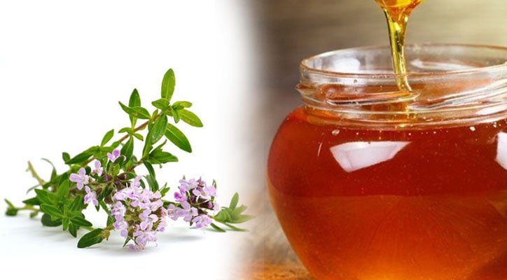 تصویر 4 از فروش عسل آویشن درجه یک محصولی ممتاز برای سبک زندگی سالم