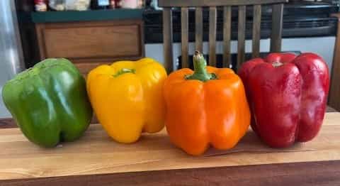 فلفل دلمه ای خوب و تازه خرید مستقیم از کشاورز