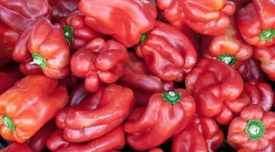 تصویر 2 از فلفل دلمه ای رنگی با بهترین کیفیت برای مصرف روزانه