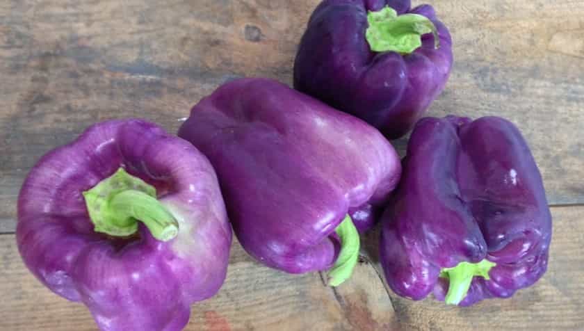 تصویر 1 از فلفل دلمه ای رنگی با بهترین کیفیت برای مصرف روزانه