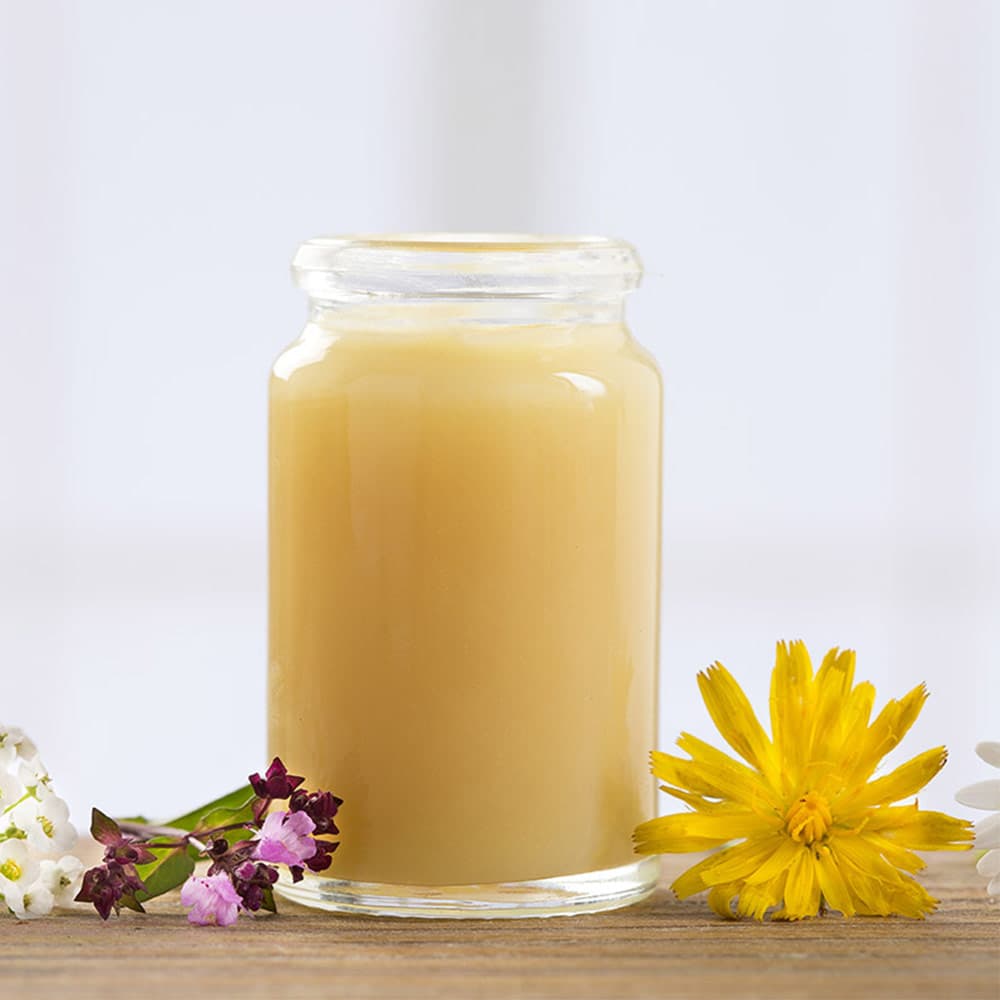 تصویر 4 از فروش استثنایی عسل ژل رویال اصل کوهی و خالص با طعم بی‌نظیر