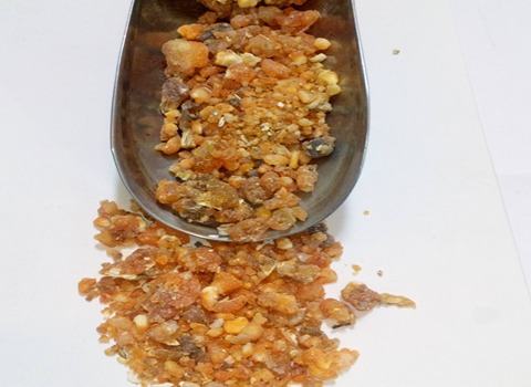 قیمت گیاه دارویی صمغ باریجه + خرید باور نکردنی