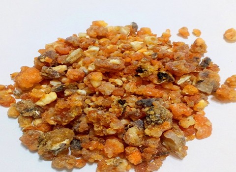 تصویر 3 از قیمت گیاه دارویی صمغ باریجه + خرید باور نکردنی