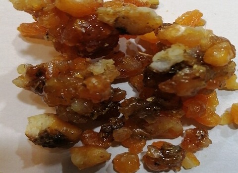 تصویر 4 از قیمت گیاه دارویی صمغ باریجه + خرید باور نکردنی