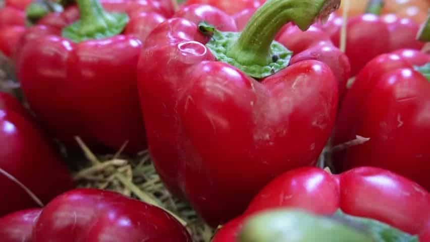 فلفل دلمه‌ای رنگی شیرین مناسب انواع خورشت و پلو