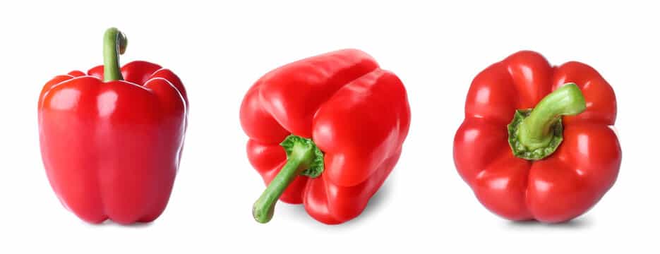 تصویر 2 از فلفل دلمه‌ای رنگی مناسب فریز کردن و نگهداری