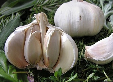 تصویر 3 از سیر سفید تازه و مرغوب همدان