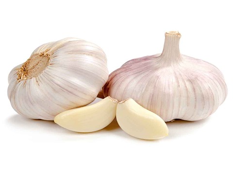 تصویر 4 از سیر سفید تازه و مرغوب همدان