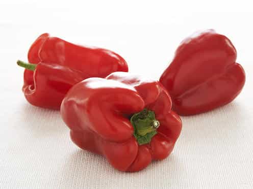 تصویر 3 از فلفل دلمه‌ای رنگی تازه و خوش‌رنگ برای تزئین غذا