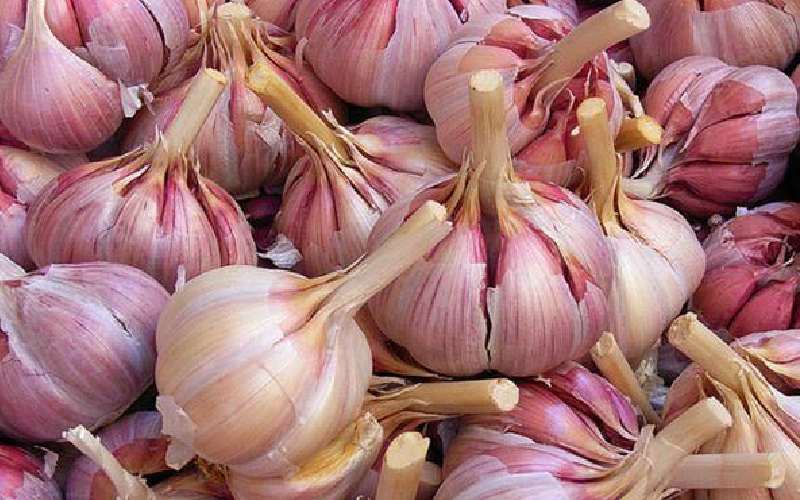 تصویر 2 از فروش سیر قرمز آذرشهر