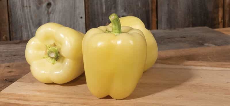 تصویر 2 از فلفل دلمه ای رنگی مخصوص رستوران‌ها با قیمت مناسب