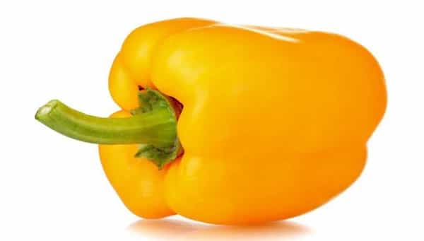 تصویر 4 از فلفل دلمه ای رنگی مخصوص رستوران‌ها با قیمت مناسب