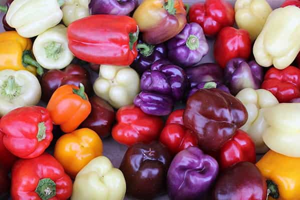 تصویر 1 از فلفل دلمه ای رنگی صادراتی انتخابی مناسب خریداران عمده