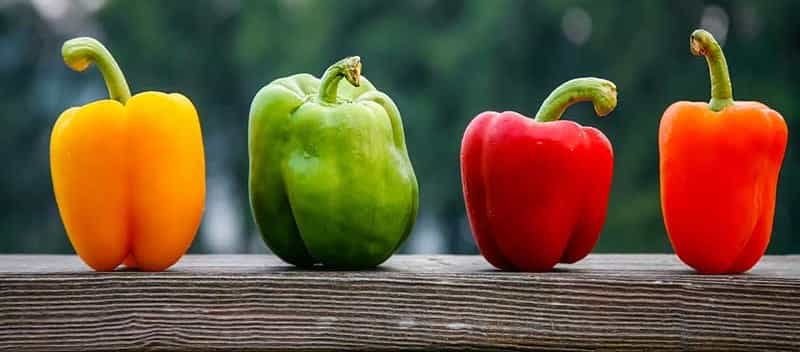 قیمت فلفل دلمه