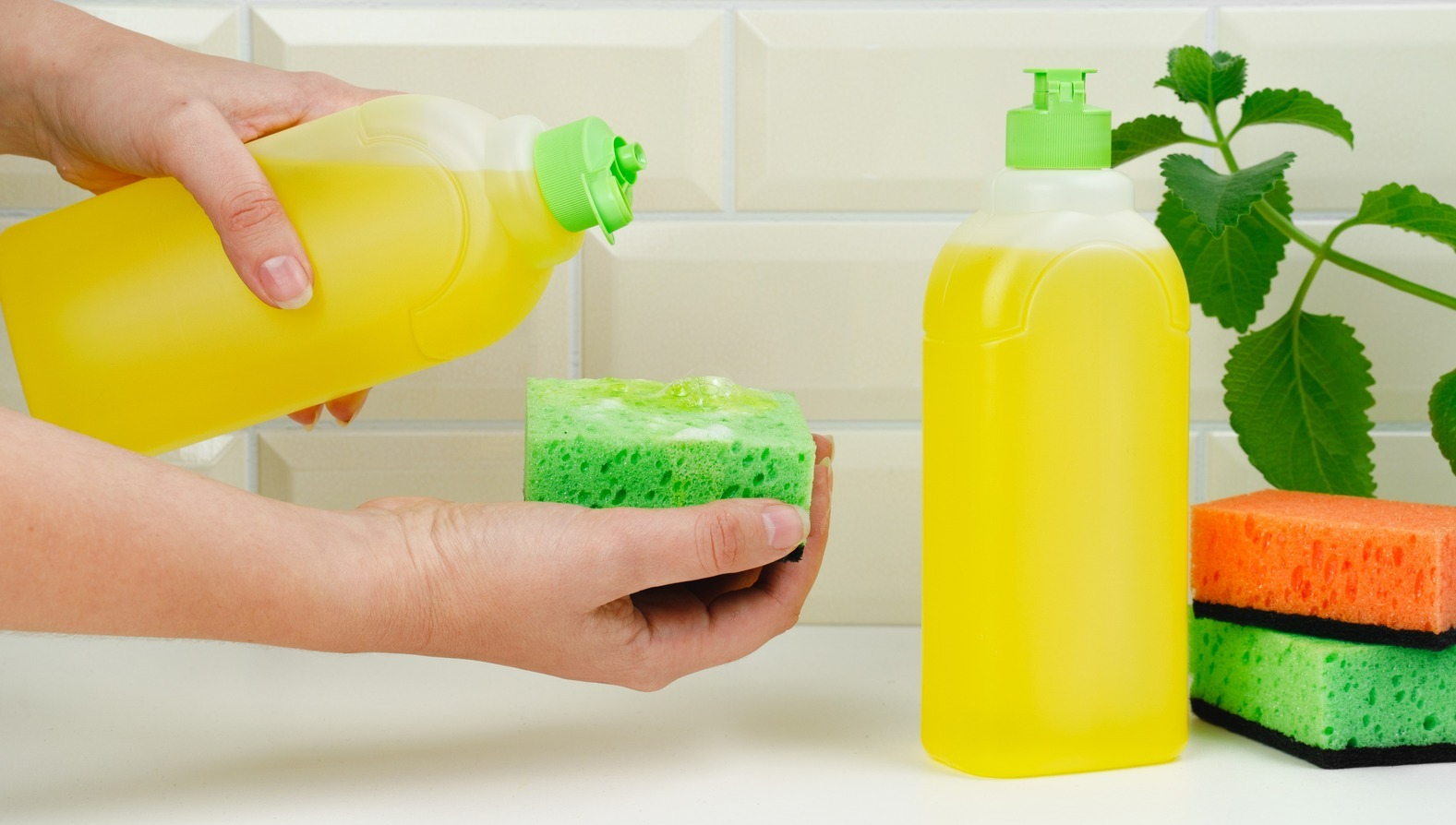 تصویر 1 از مایع ظرفشویی ارزان ۴ لیتری ضد بوی نا مطبوع