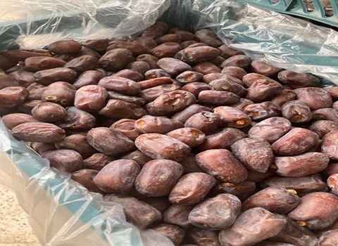 تصویر 2 از قیمت خرید خرما کلوته قیمت ویژه