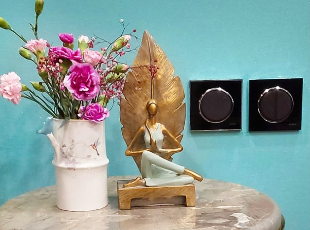 تصویر 2 از کلید و پریز ویرا مدل آلفا با کیفیت بالا و عمر طولانی