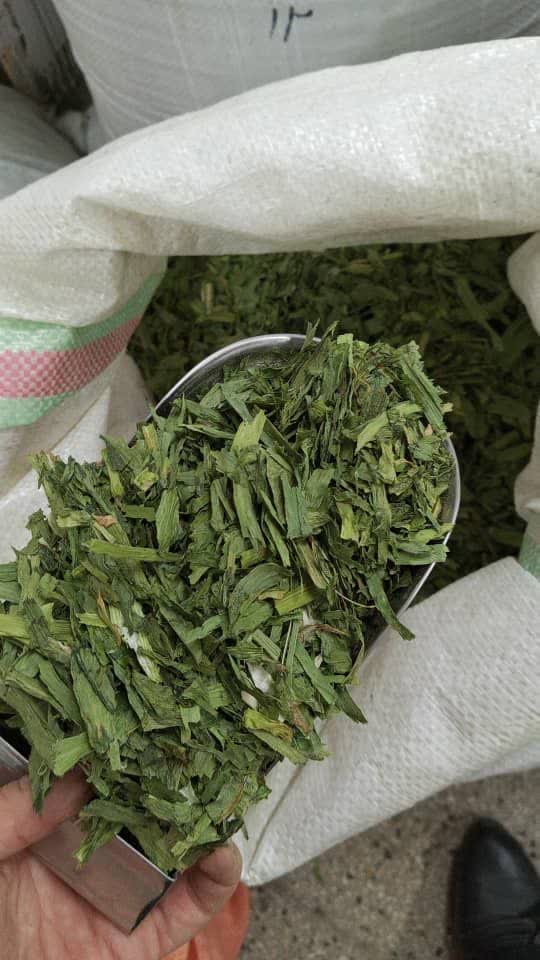 خرید و قیمت تره خشک با برگهای عالی