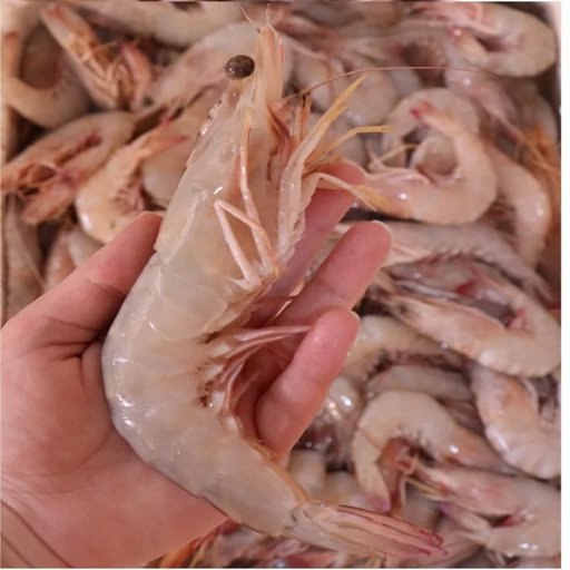 تصویر 2 از میگو عسلویه دریایی + مناسب غذاهای سنتی و محلی