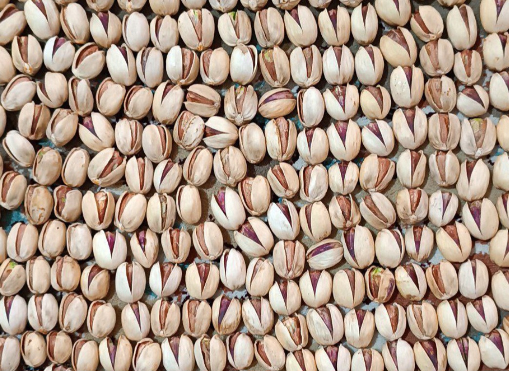 قیمت پسته فندقی زرند کرمان در انس های مختلف