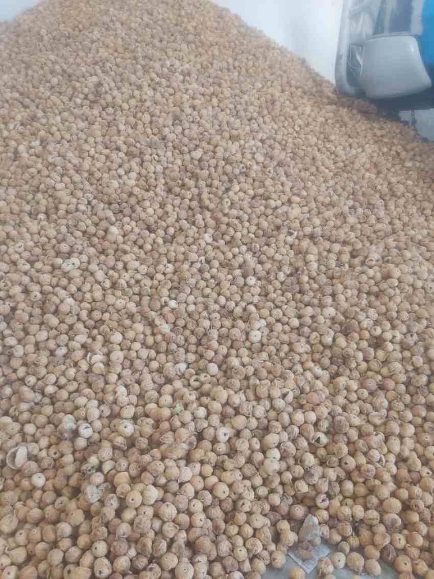 تصویر 3 از فروش عمده انجیر خشک ریز + تامین مستقیم  برای بازار داخلی و صادرات