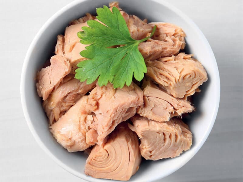 تصویر 1 از کنسرو تن ماهی شیلانه با روغن گیاهی سالم و طبیعی