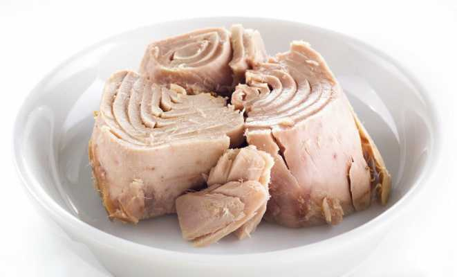 تصویر 1 از کنسرو تن ماهی طبیعت طعم لذیذ و بافت نرم