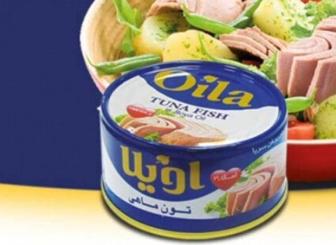 تصویر 3 از کنسرو تن ماهی اویلا گزینه‌ ای سالم و کاربردی برای خانواده