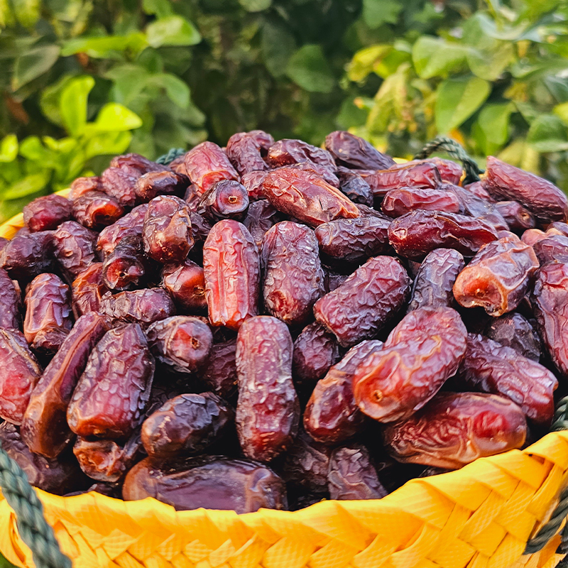 تصویر 3 از خرما پیارم مشهد با کیفیت برتر