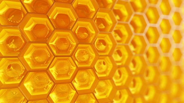 عسل طبیعی بهاره سبلان از بهترین گل‌ های منطقه