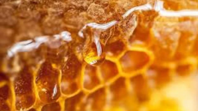 عسل چهل گیاه لرستان با طعم منحصر به فرد