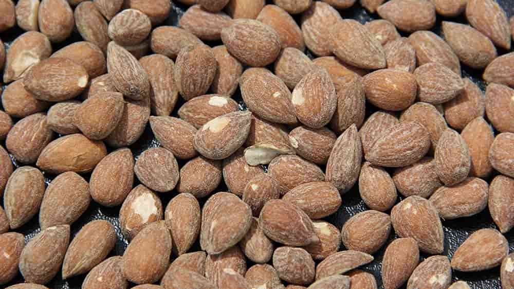 تصویر 4 از بادام درختی شور مناسب هدیه و پک های پذیرایی