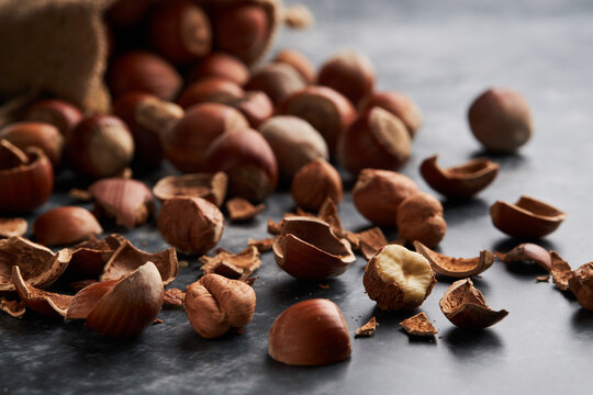 فندق غدير مشهد با مغز درشت