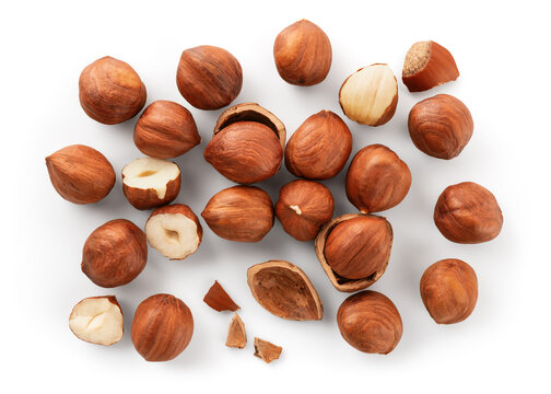 تصویر 3 از فندق غدير مشهد با مغز درشت