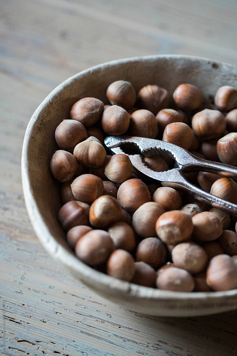 فندق غدير تازه برداشت