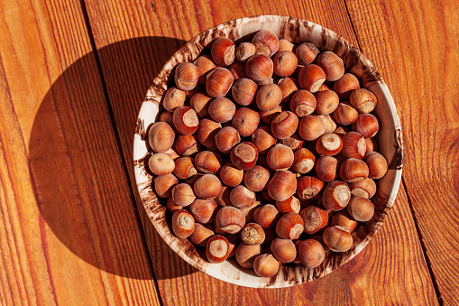 فندق وحشی استاندارد و طبیعی