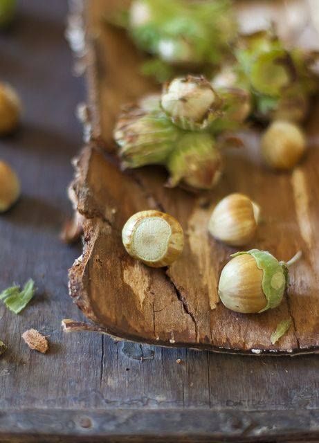 تصویر 1 از فندق وحشی استاندارد و طبیعی