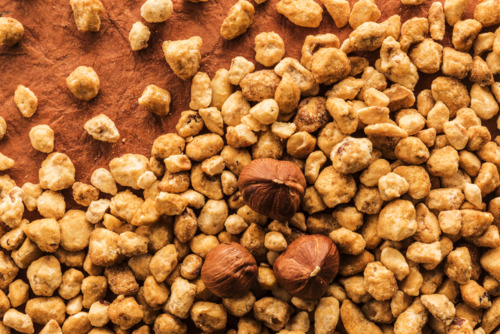 تصویر 2 از فندق وحشی استاندارد و طبیعی