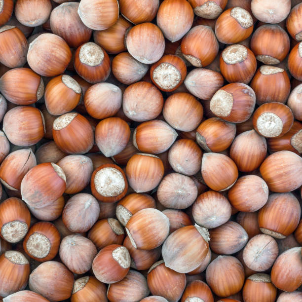 تصویر 4 از فندق طعم دار مخصوص آجیل شب یلدا