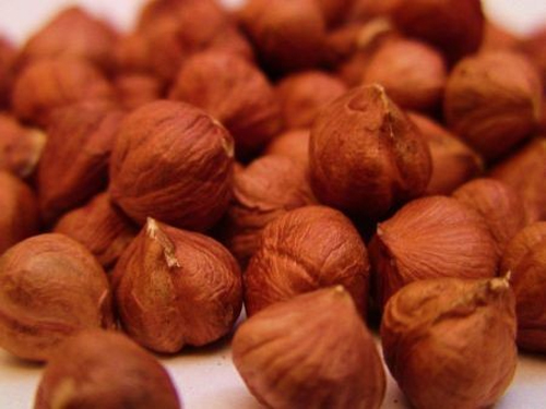 فندق قرمز تازه و دستچین