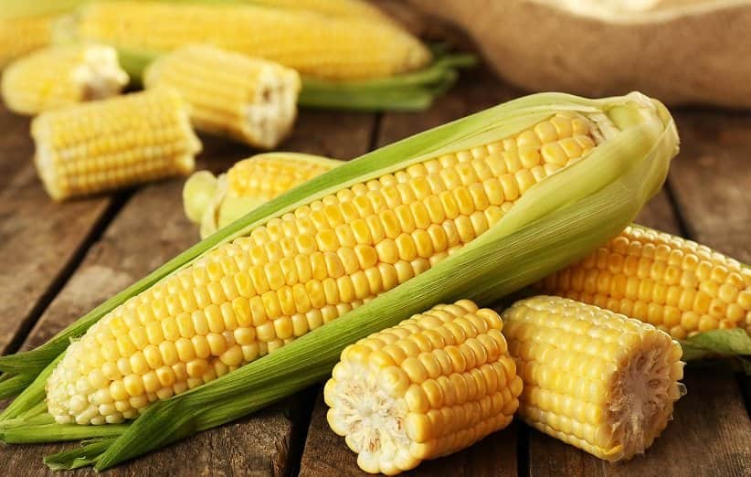 تصویر 3 از کنسرو ذرت شیرین آماده مصرف با طعم طبیعی درجه یک