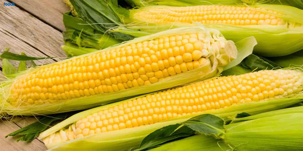 تصویر 4 از کنسرو ذرت شیرین آماده مصرف با طعم طبیعی درجه یک