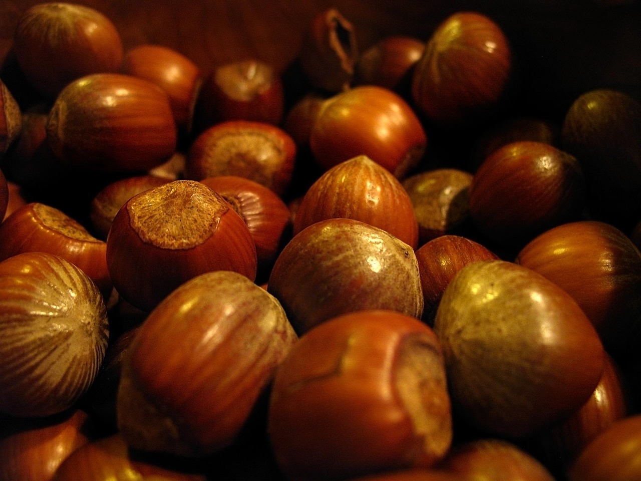 تصویر 2 از فندق قفلی مناسب میان‌وعده