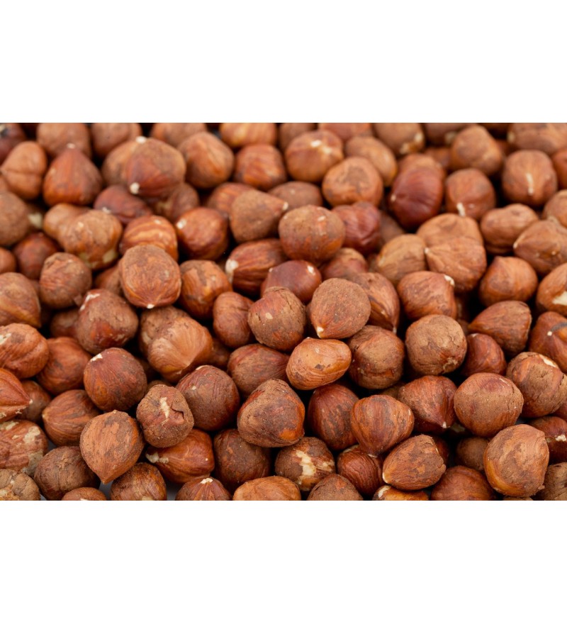 تصویر 4 از فندق استوایی مغزدار و تازه مناسب صادرات و فروش