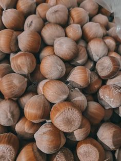 تصویر 3 از فندق ثامن مشهد شور و خوش‌طعم