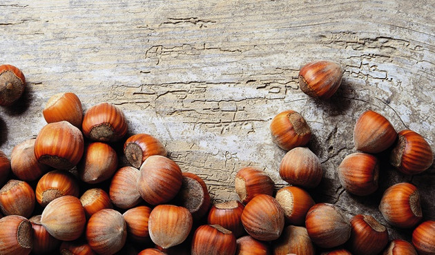 تصویر 3 از فندق استوایی دست‌ چین و تمیز