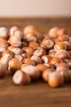 تصویر 2 از فندق غدير ممتاز و صادراتی